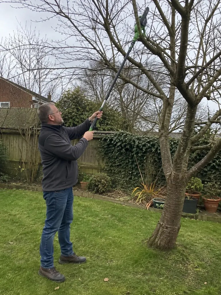 Prunex™ con asta telescopica su ramo alto